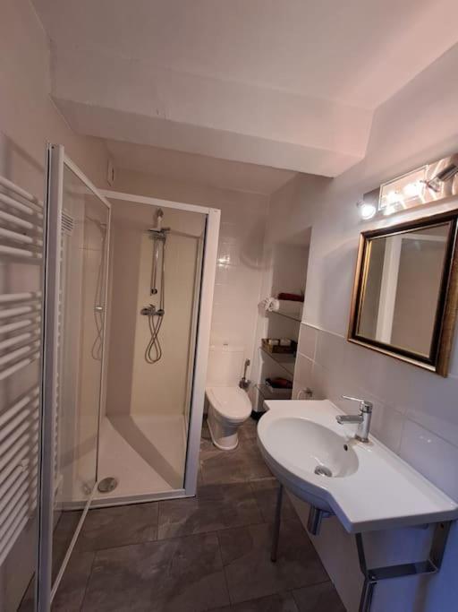 Appartamento Le Nid De Marius LʼIsle-sur-la-Sorgue Esterno foto
